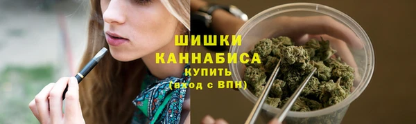 марки lsd Бородино