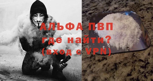 хмурый Белокуриха