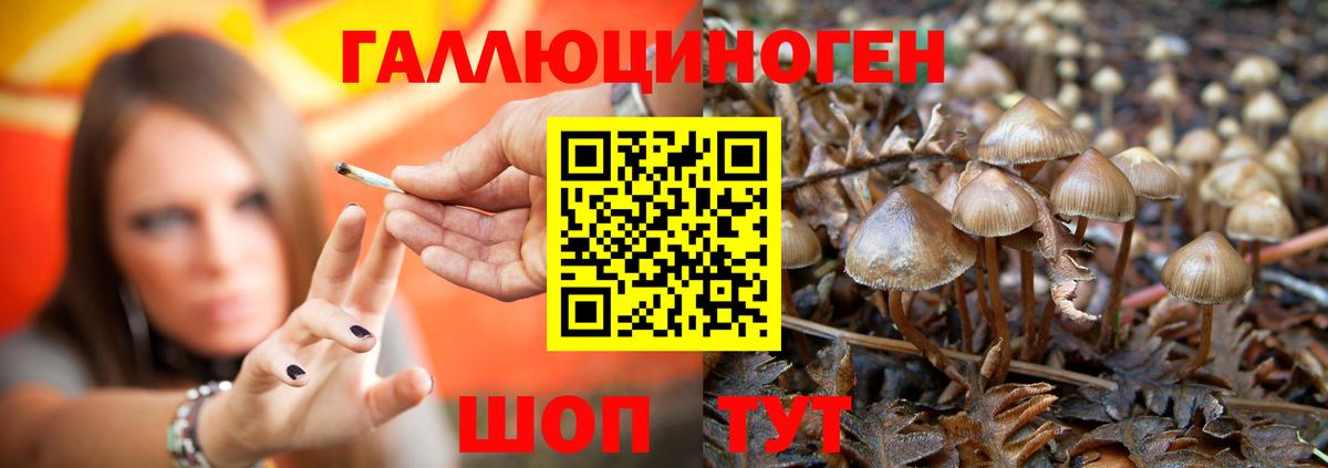 Галлюциногенные грибы прущие грибы Обь